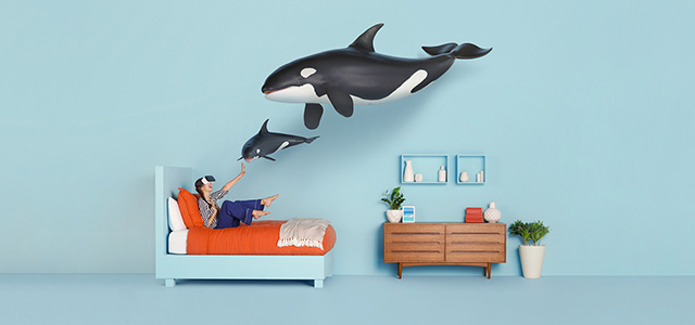 VR/AR服务 - 升圳网