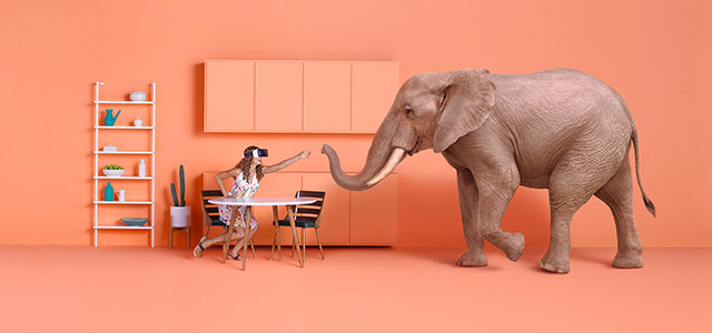 VR/AR服务 - 升圳网